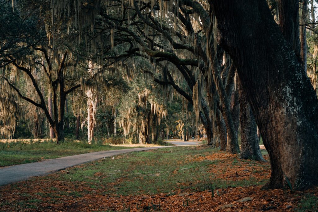 Telehealth Counseling South Carolina Christian Counseling