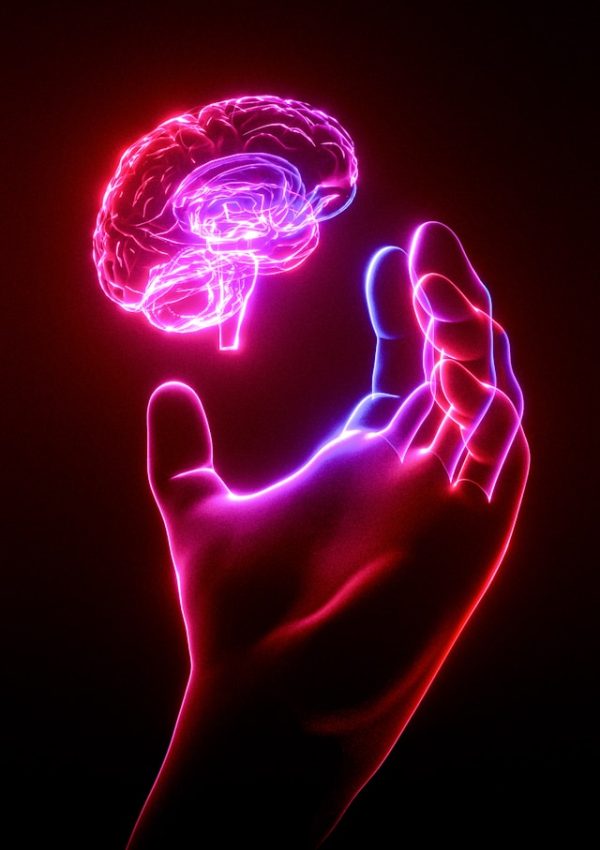 Emotions in Scripture: Transforming the Mind and Emotional Renewal with Romans 12